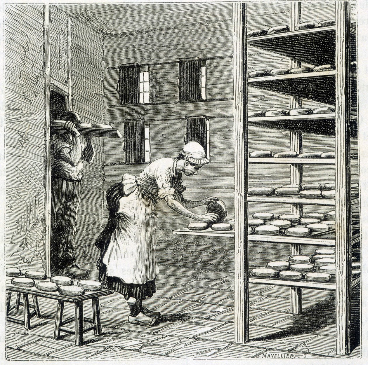 Haloir (o essiccatore) per la fabbricazione del formaggio camembert - in 