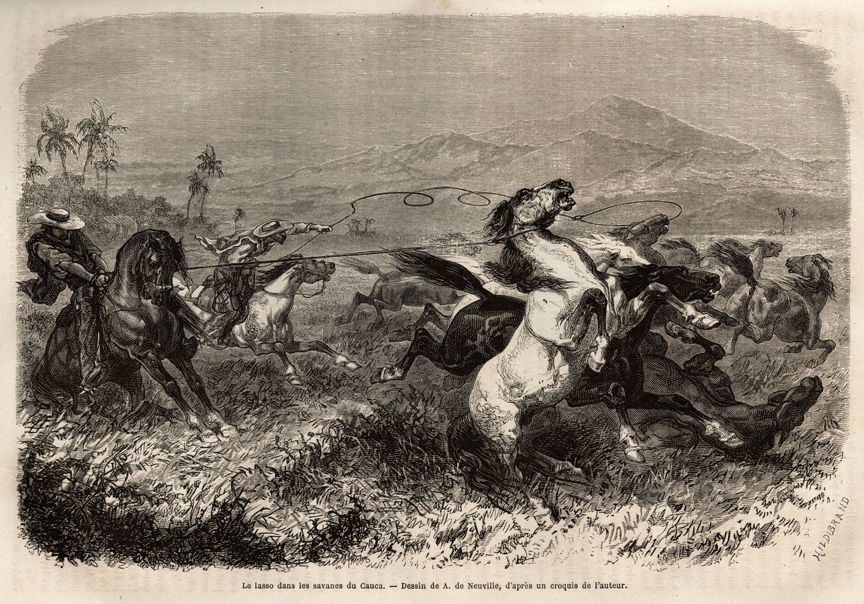 Mandrie di muli e cavalli vagano liberamente nelle pianure di Cauca (Colombia), gli allevatori si riuniscono per catturare le bestie con il lazo (o zoga, lunga corda di cuoio). Incisione per illustrare il viaggio nella Nuova Granada, di Dr. Saffray, pubbli da Unknown artist