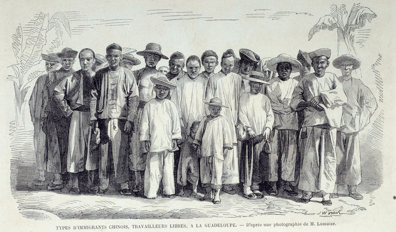 Storia delle colonie francesi: immigrati cinesi che lavorano in Guadalupa. Disegno da fotografia della fine del XIX secolo da Unknown artist