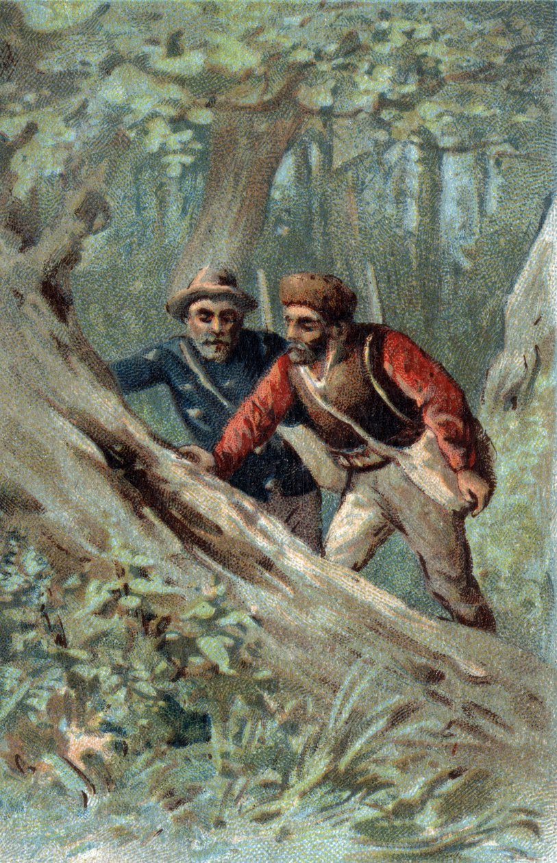 Cacciatori di miele in Canada alla ricerca di un albero sciame. Cromolitografia della fine del XIX secolo da Unknown artist