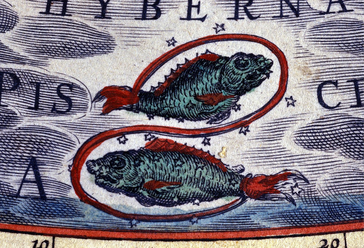 Oroscopo: segno dello zodiaco, i Pesci. Incisione del XVI secolo. da Unknown artist