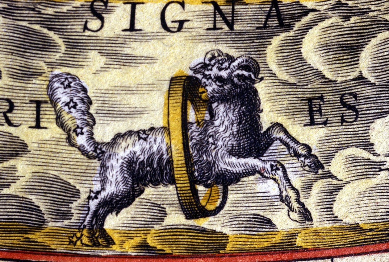 Oroscopo: segno dello zodiaco, l