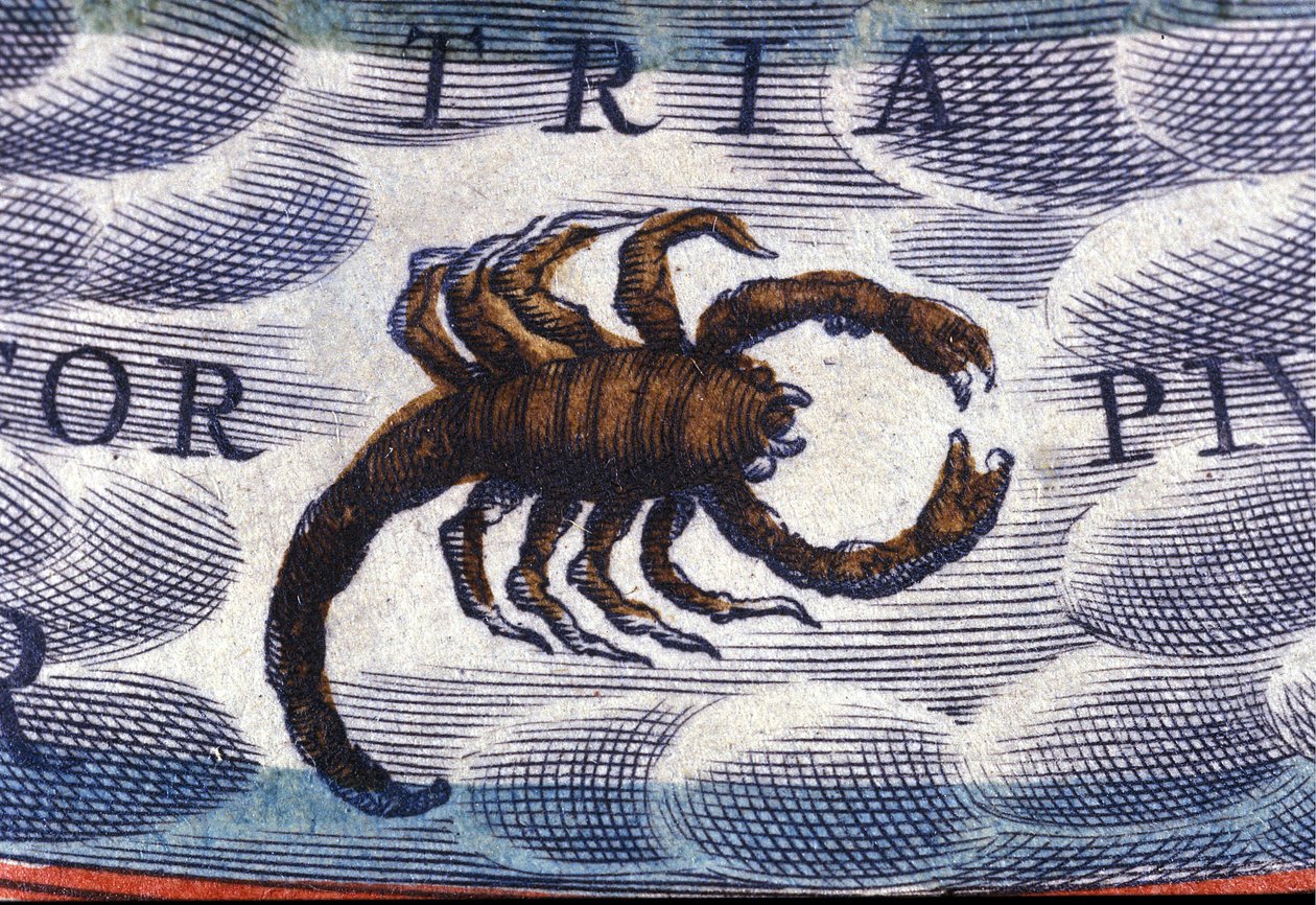Oroscopo: segno zodiacale, lo Scorpione da Unknown artist