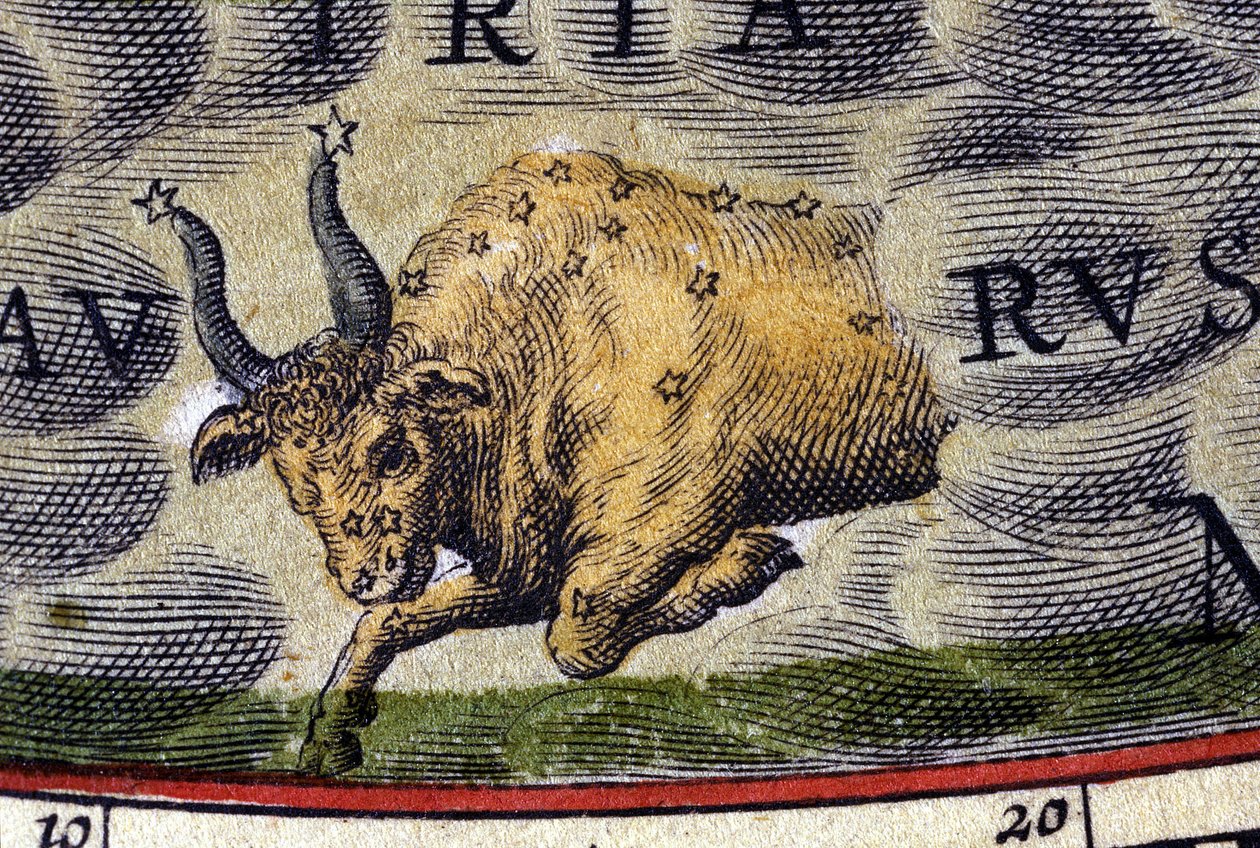 Oroscopo: segno dello zodiaco, il Toro. da Unknown artist