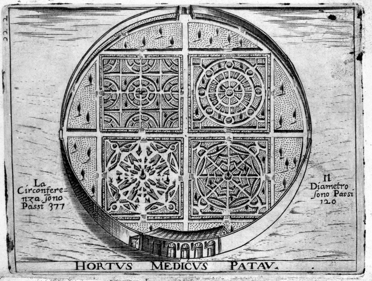 Hortus Medicus Patav: Giardino Medico di Padova da Unknown artist