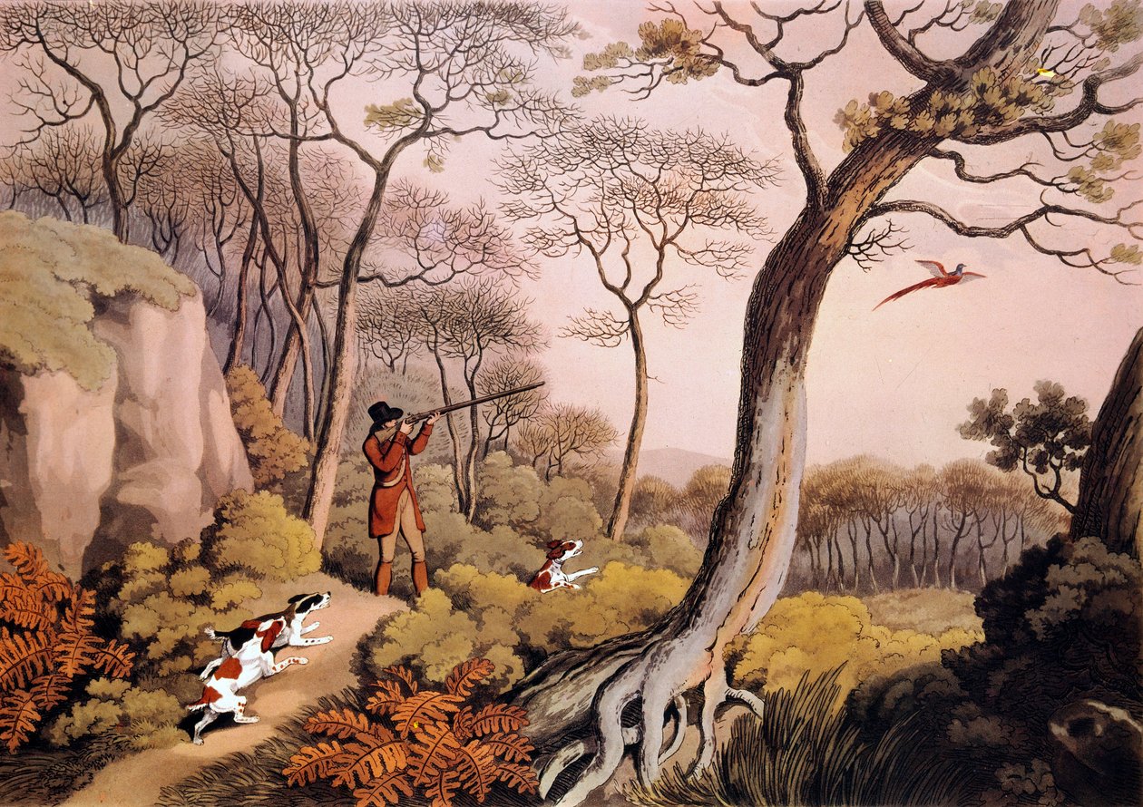 Caccia ai fagiani in Inghilterra. Incisione del XIX secolo. Gien, museo della caccia da Unknown artist
