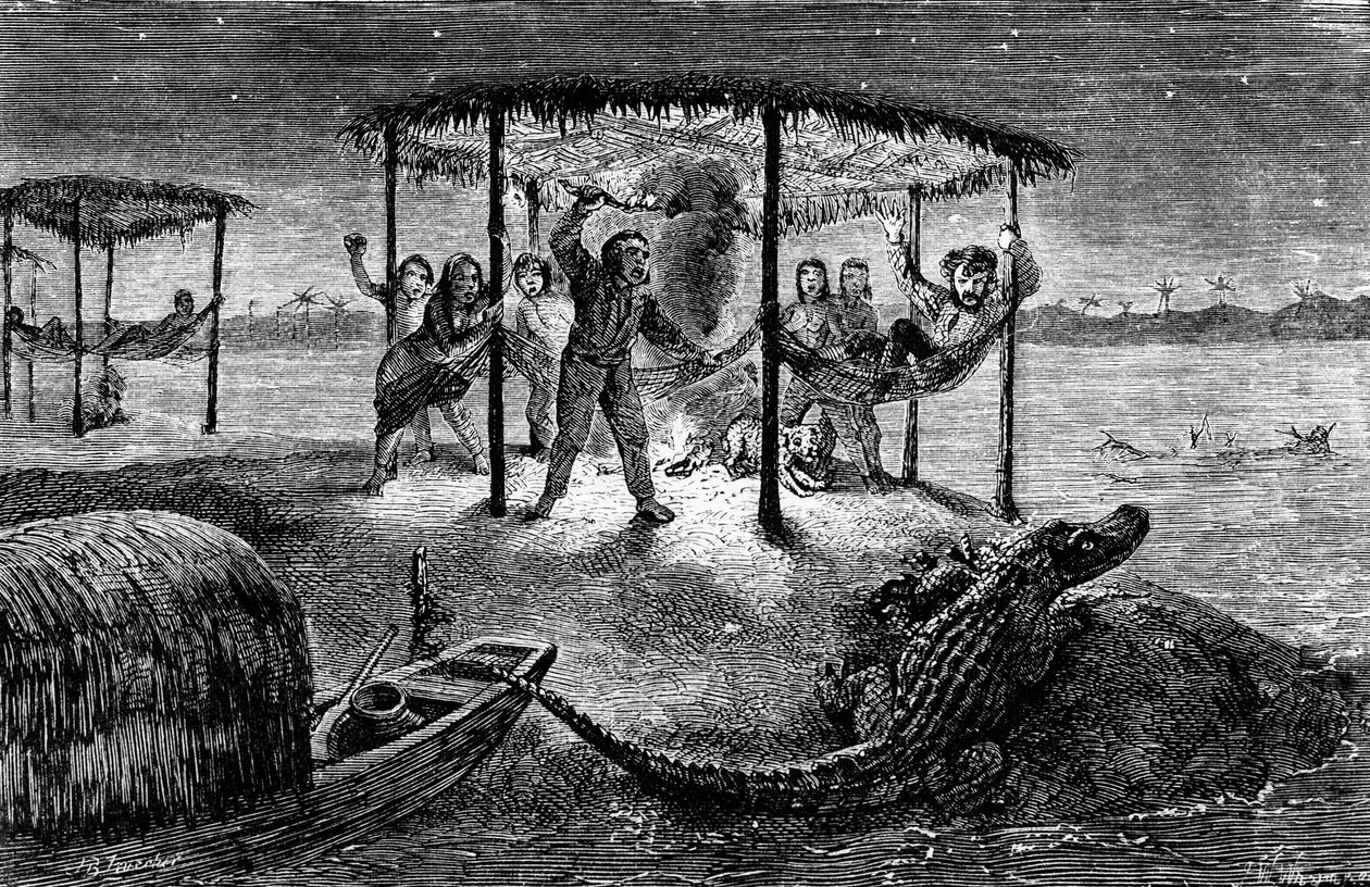 Illustrazione Il naturalista sul Rio delle Amazzoni" di Henry Walter Bates (incisione) da Unknown artist