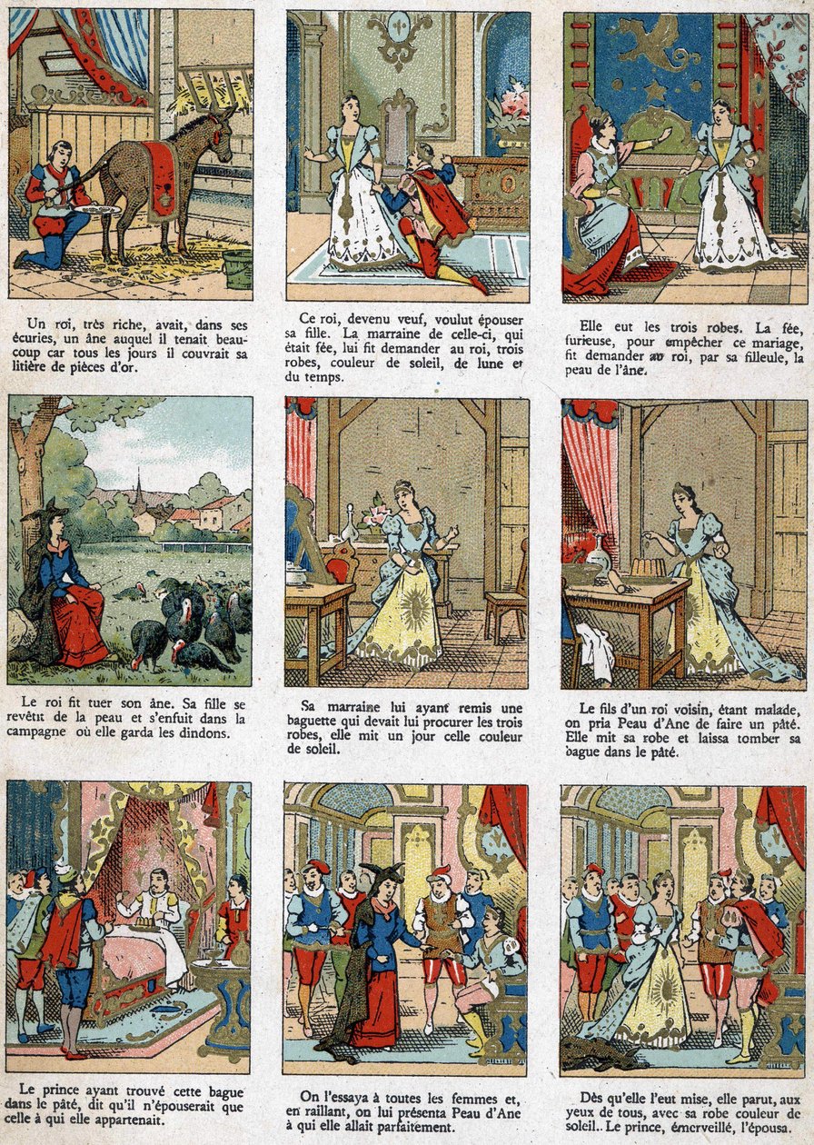 Illustrazione per Pelle d