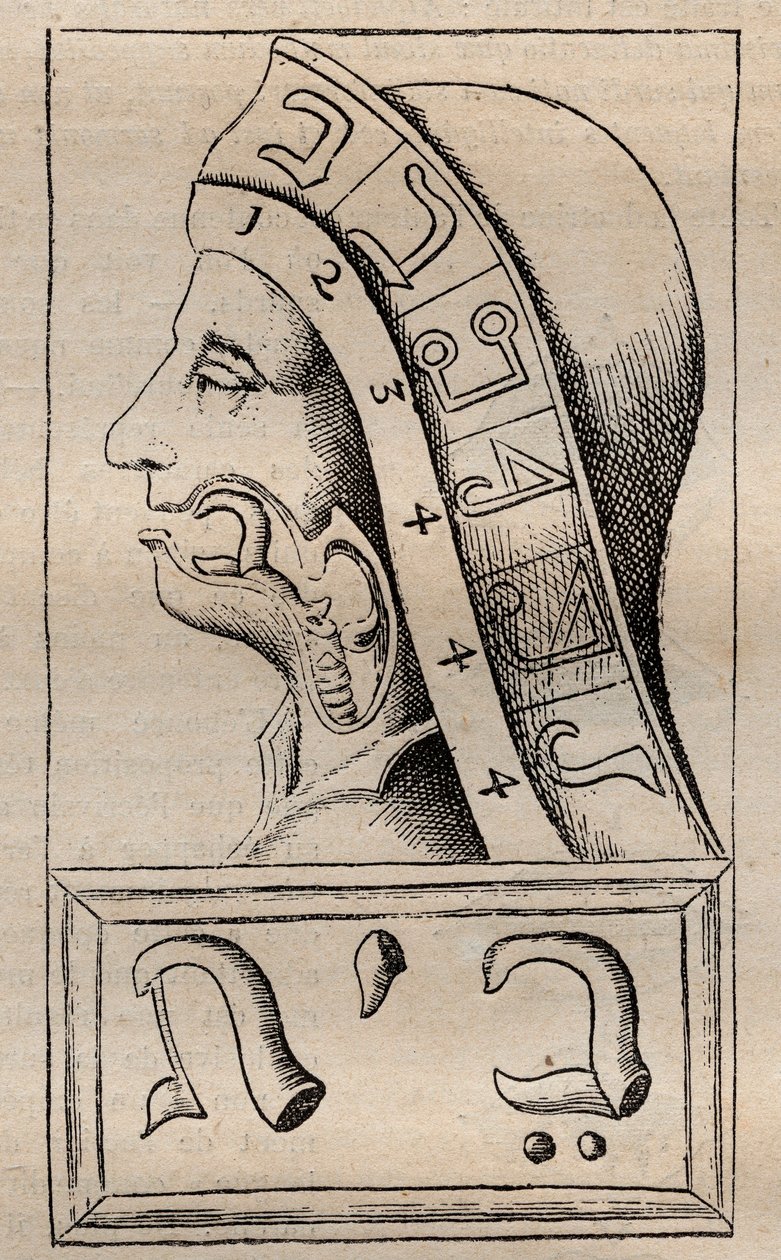 Illustrazione da: "Alphabeti vere naturalis Hebraici brevissima delineatio" (L