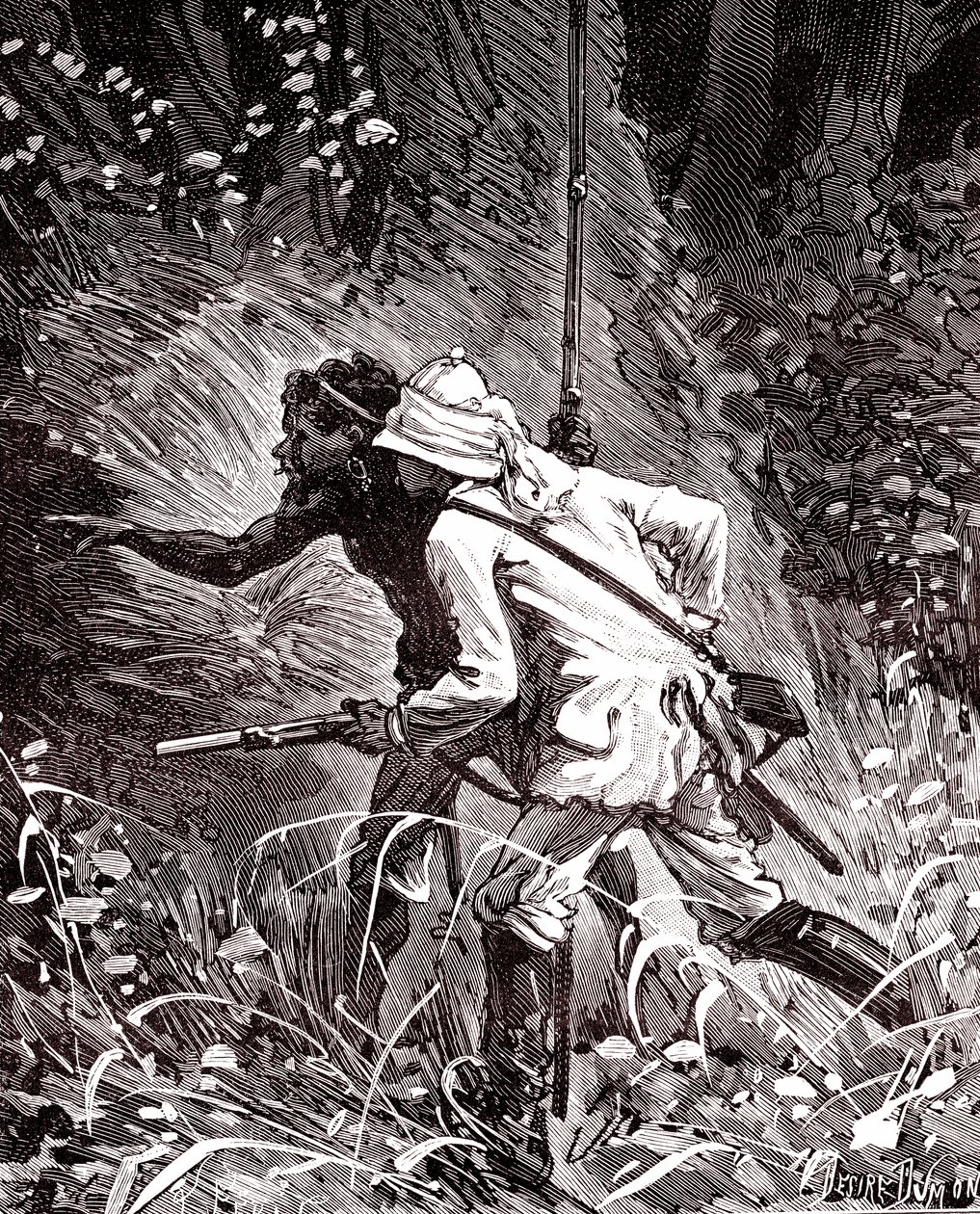 Nei campi di gomma (Hevea) nella giungla della Guyana da Unknown artist
