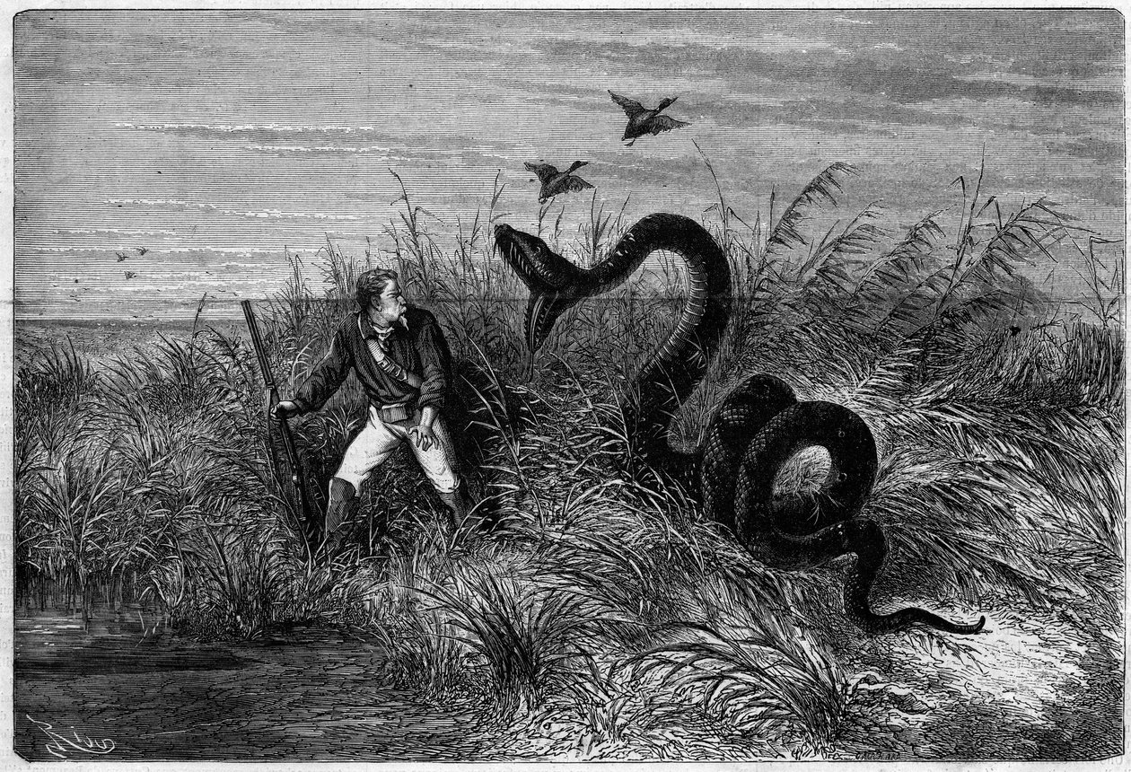 Incidente nella savana durante una caccia alle anatre. Estratto da "Viaggio nella Guyana Francese" di Frederic Bouyer, capitano di fregata. Incisione in "L