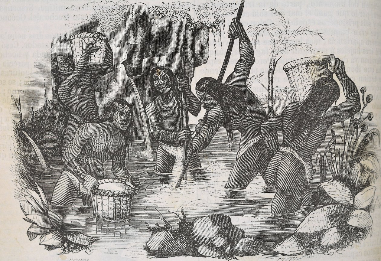 Indiani dell