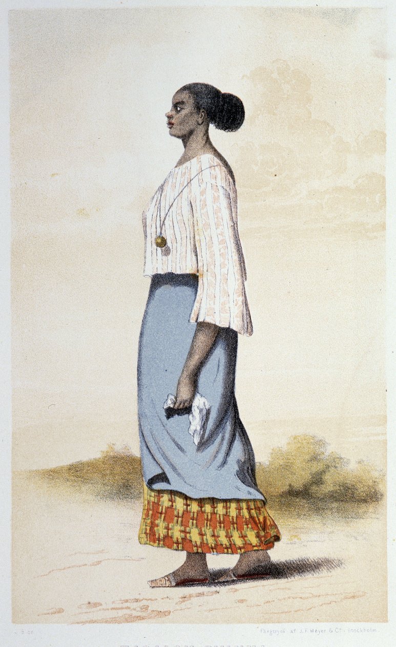 Indigeno d