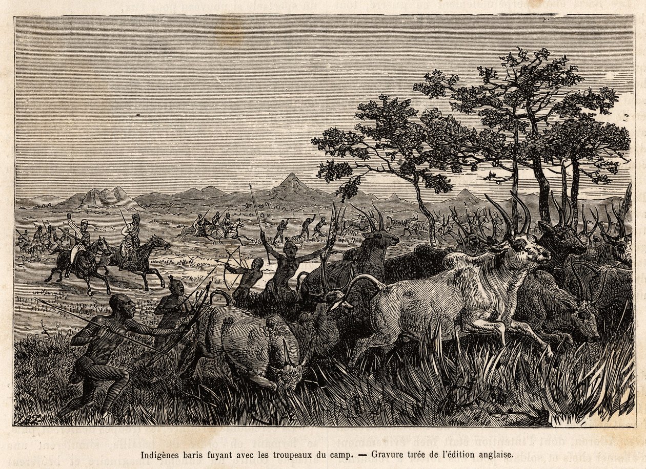 Indigeni baris (popolazione del Sudan) armati di archi e frecce, incisione per illustrare una spedizione armata in Sudan da Unknown artist