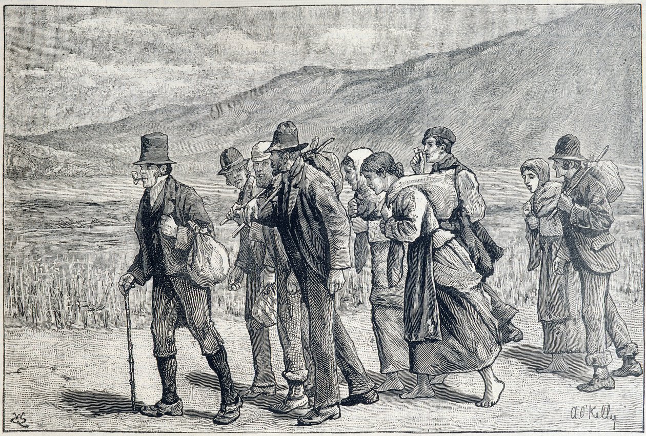 Irlanda: lavoratori stagionali per il raccolto da Unknown artist
