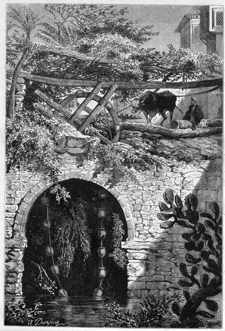 Irrigazione in Egitto: un bue gira una ruota intorno alla quale sono avvolti secchi. Incisione in "Le Monde Illustré" n.1313 del 27 maggio 1882 da Unknown artist