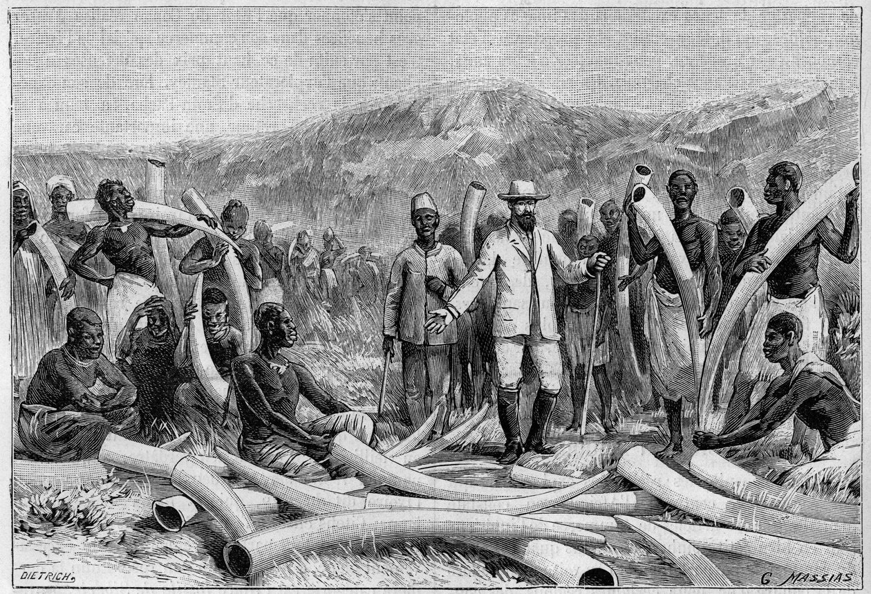 Avorio in Africa: difese di elefante raccolte da Emin Pacha (Eduard Schnitzer, noto come Mohammed Emin Pacha) da Unknown artist