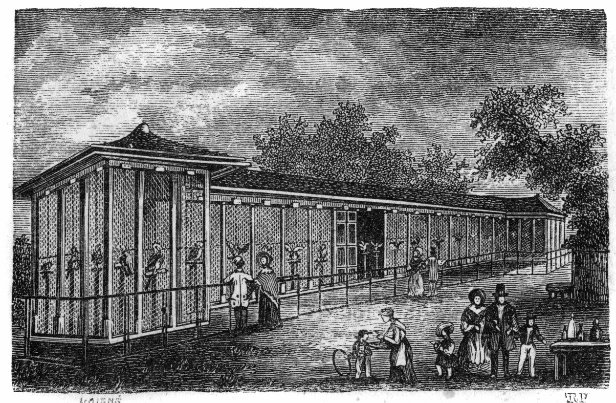 Jardin des Plantes a Parigi nel 1861: falconeria da Unknown artist