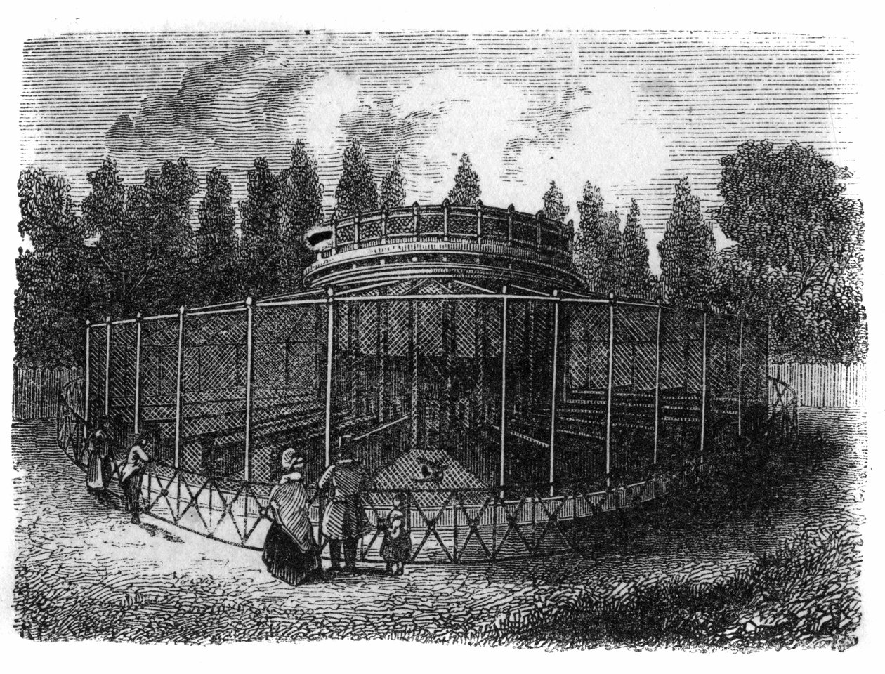 Jardin des Plantes a Parigi nel 1861: fagianeria da Unknown artist