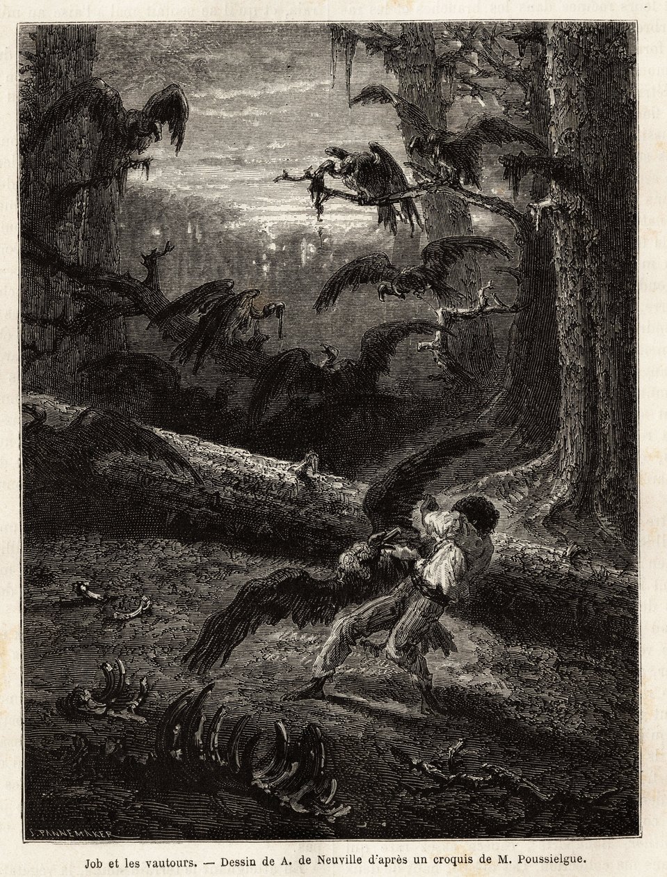 Job (compagno di viaggio del redattore), attaccato da avvoltoi. Incisione per illustrare il racconto Quattro mesi in Florida, di M. Pousselgue, nel 1851-1852, pubblicato in "le tour du monde", a cura di Edouard Charton, Hachette, Parigi 1869 da Unknown artist
