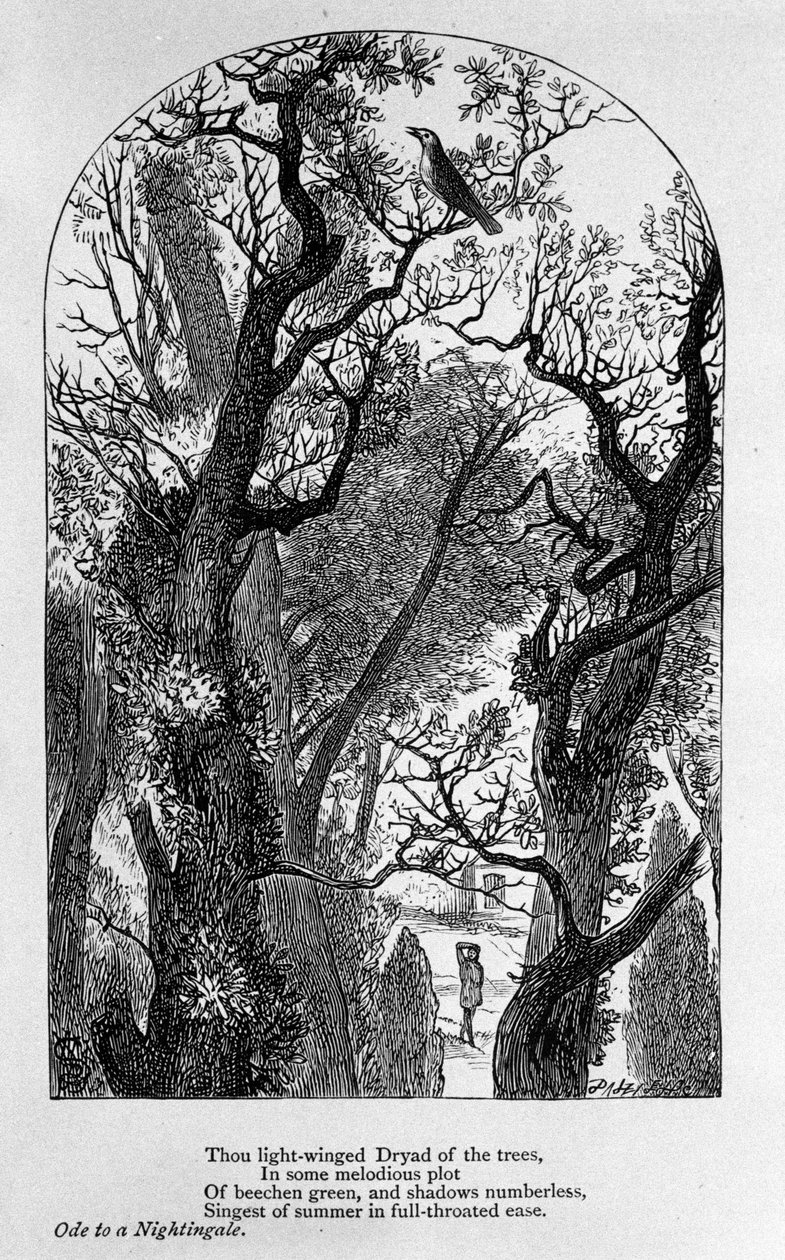 John Keats: Ode a un usignolo da Unknown artist