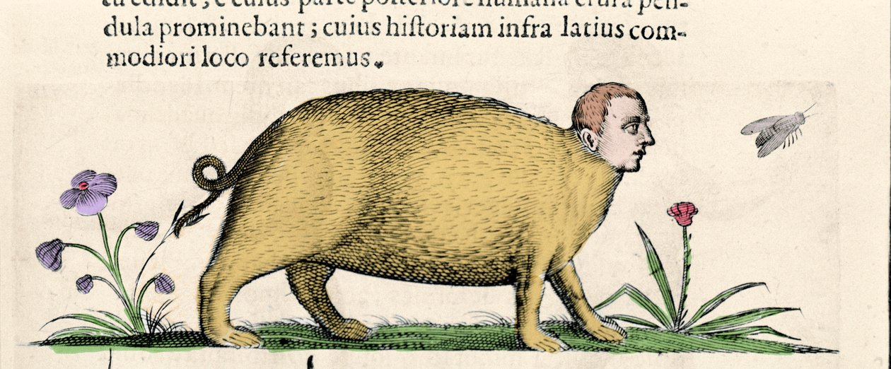 La manticora - in 