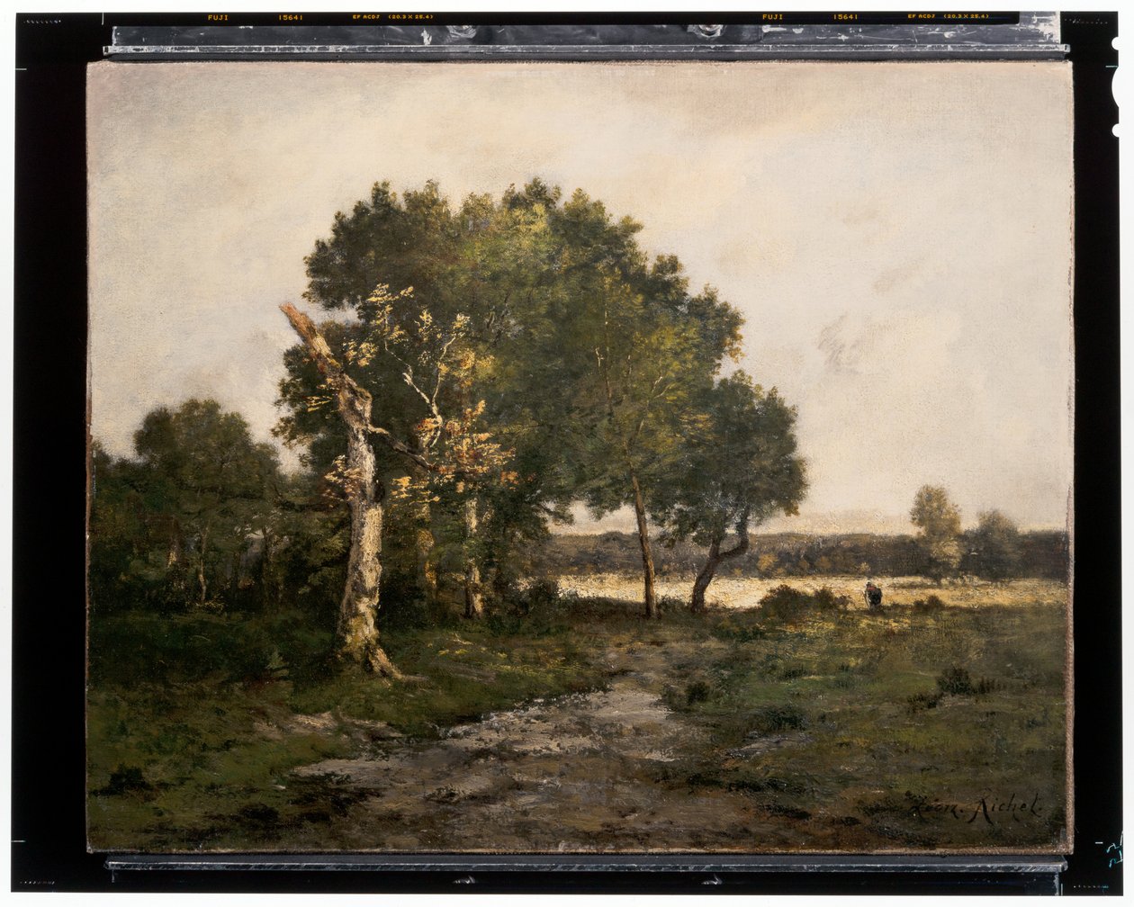 Paesaggio da Unknown artist