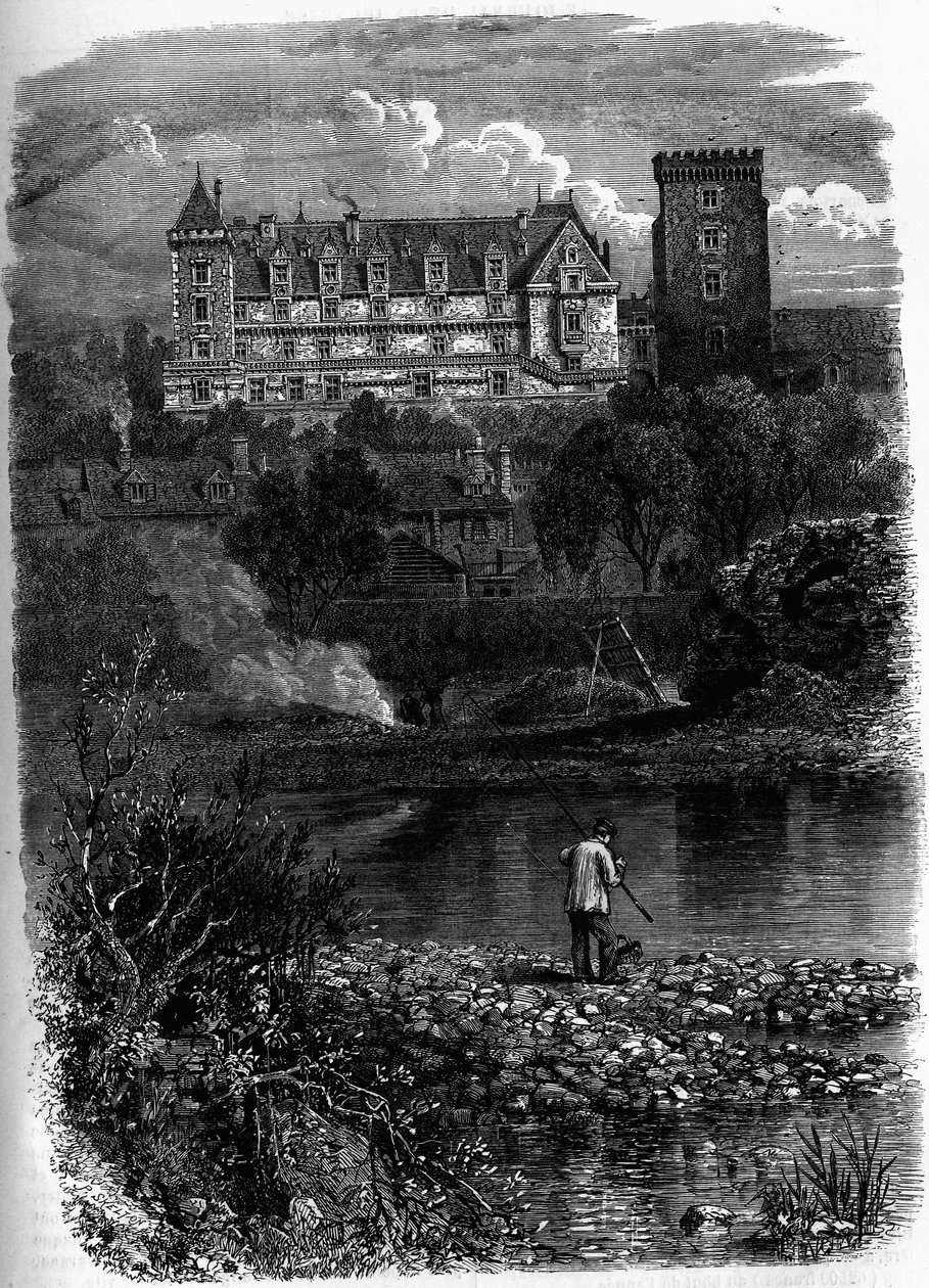 Il castello di Pau, Pirenei Atlantici (64) da Unknown artist