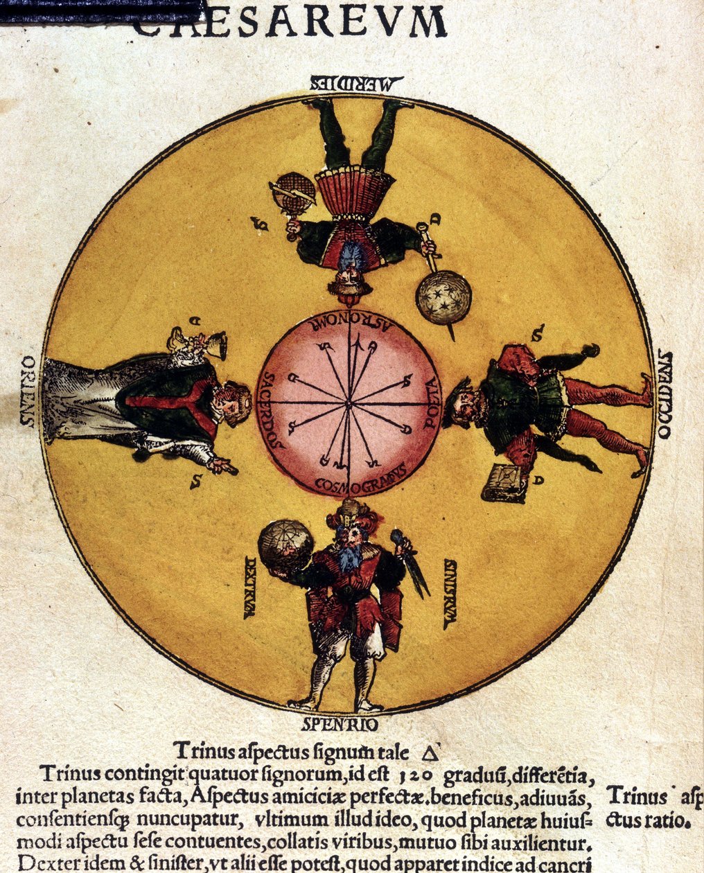 Gli antipodi - in "Astronomicon caesarum", trattato del XVI secolo. da Unknown artist