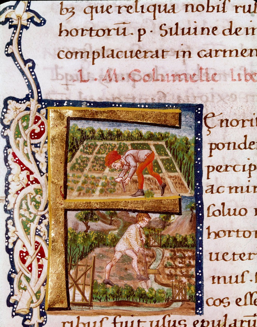 Lettera F dal capitolo sull