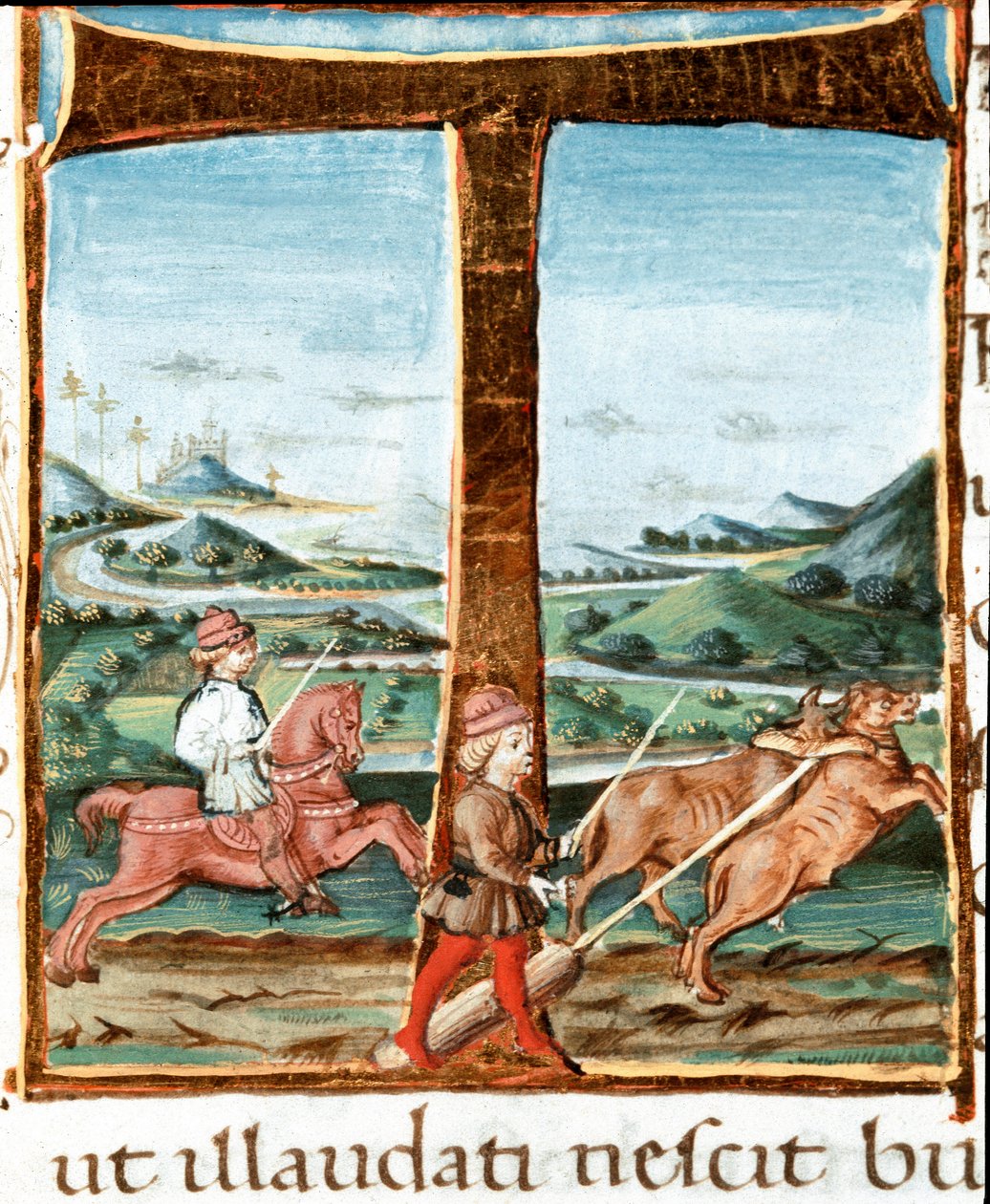 Lettrine T decorate con un cavaliere e un addestratore di buoi - Miniatura tratta dalle Bucoliche (Egloghe) di Virgilio (Publio Virgilio Marone) (70-19 a.C.) (Ms IV E.12). XV secolo Napoli, Biblioteca Nazionale da Unknown artist