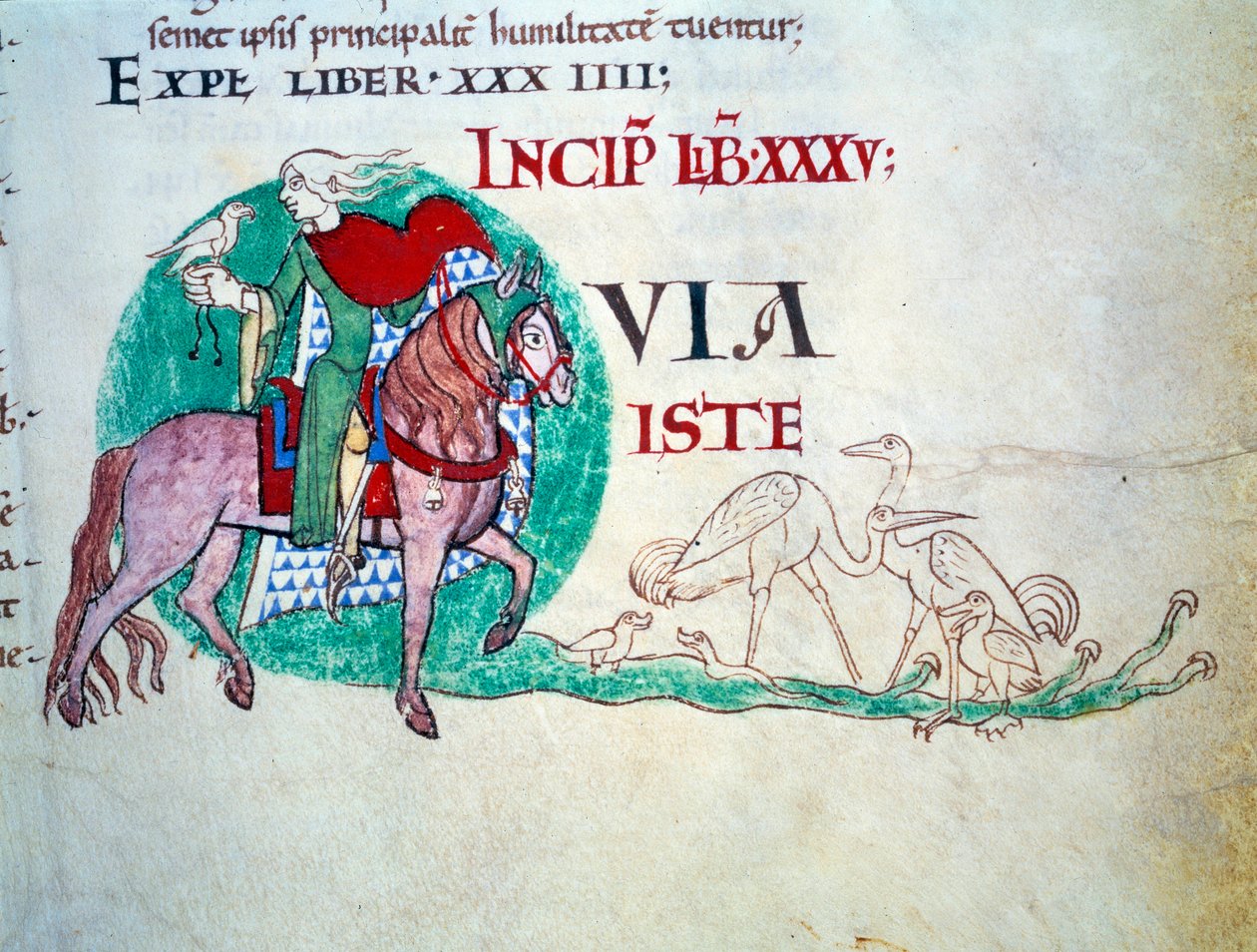 Signore alla caccia con il falcone. Miniatura del Medioevo. Manoscritto Moralia in Job dall
