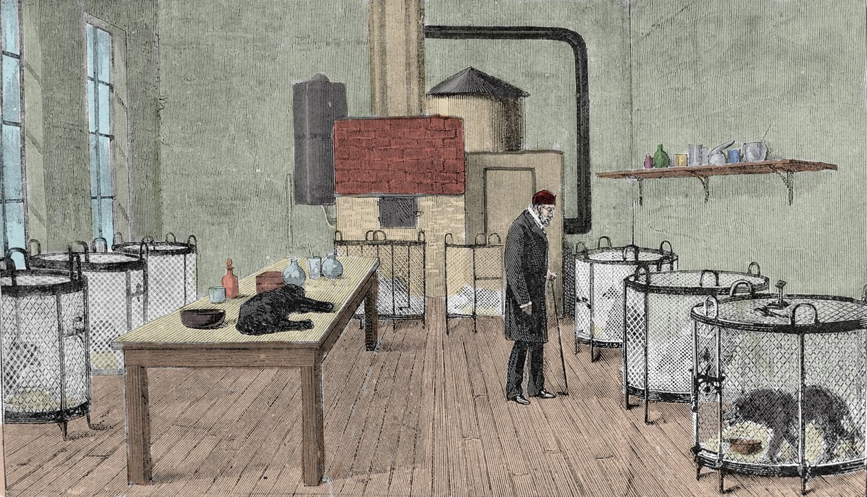 Louis Pasteur (1822-1895), chimico e fisico francese nel suo laboratorio a Parigi da Unknown artist