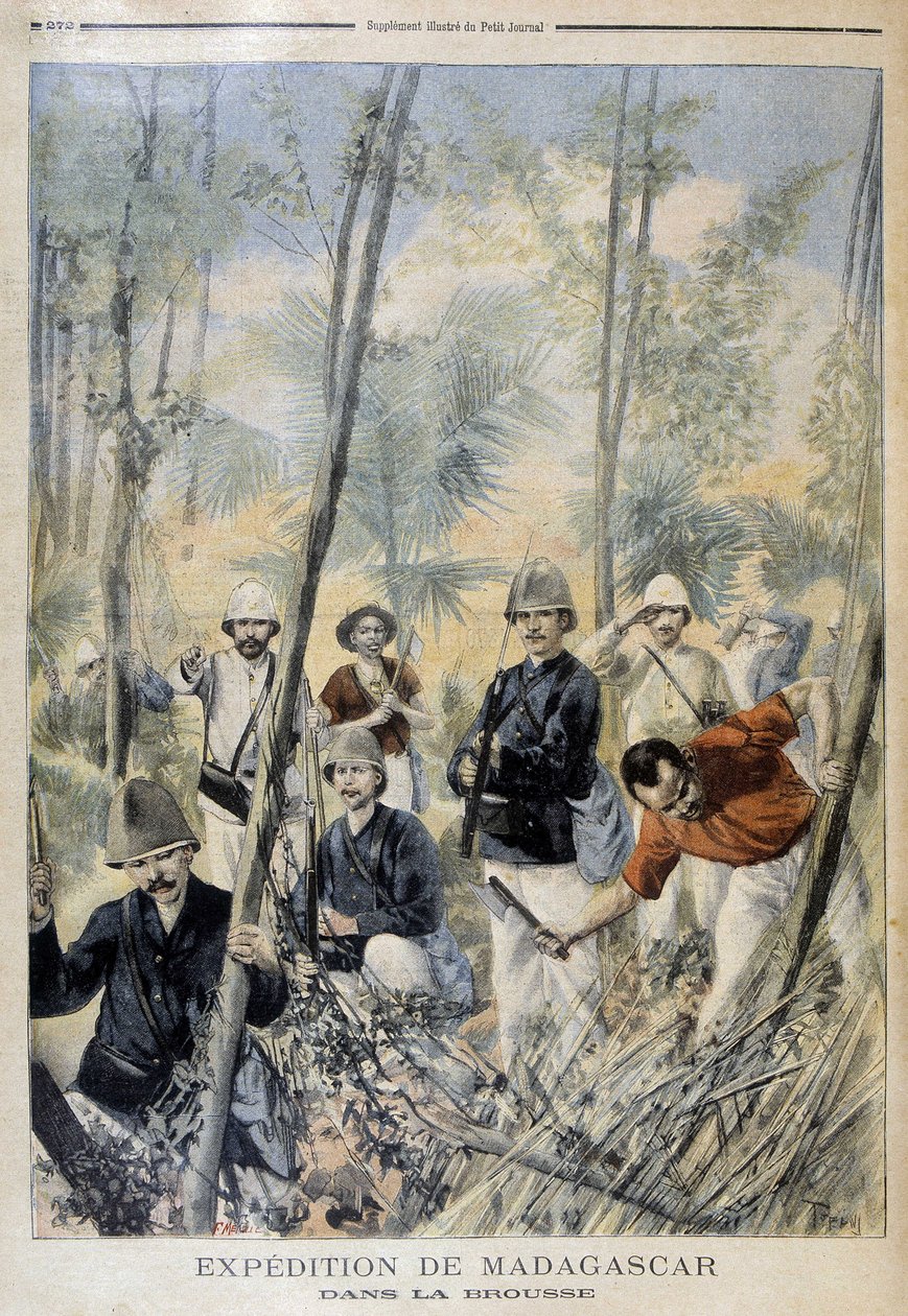 Spedizione in Madagascar: nella boscaglia - in “Le Petit Journal”, agosto 1895 da Unknown artist