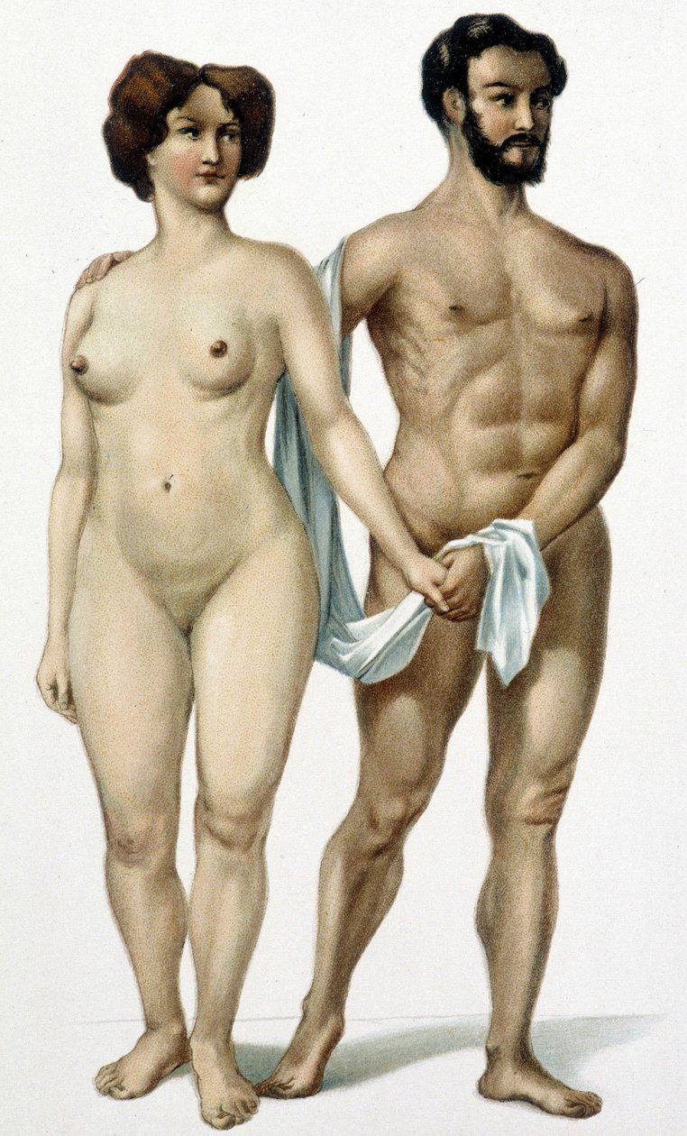 Uomo e donna - libro di medicina, fine XIX secolo da Unknown artist
