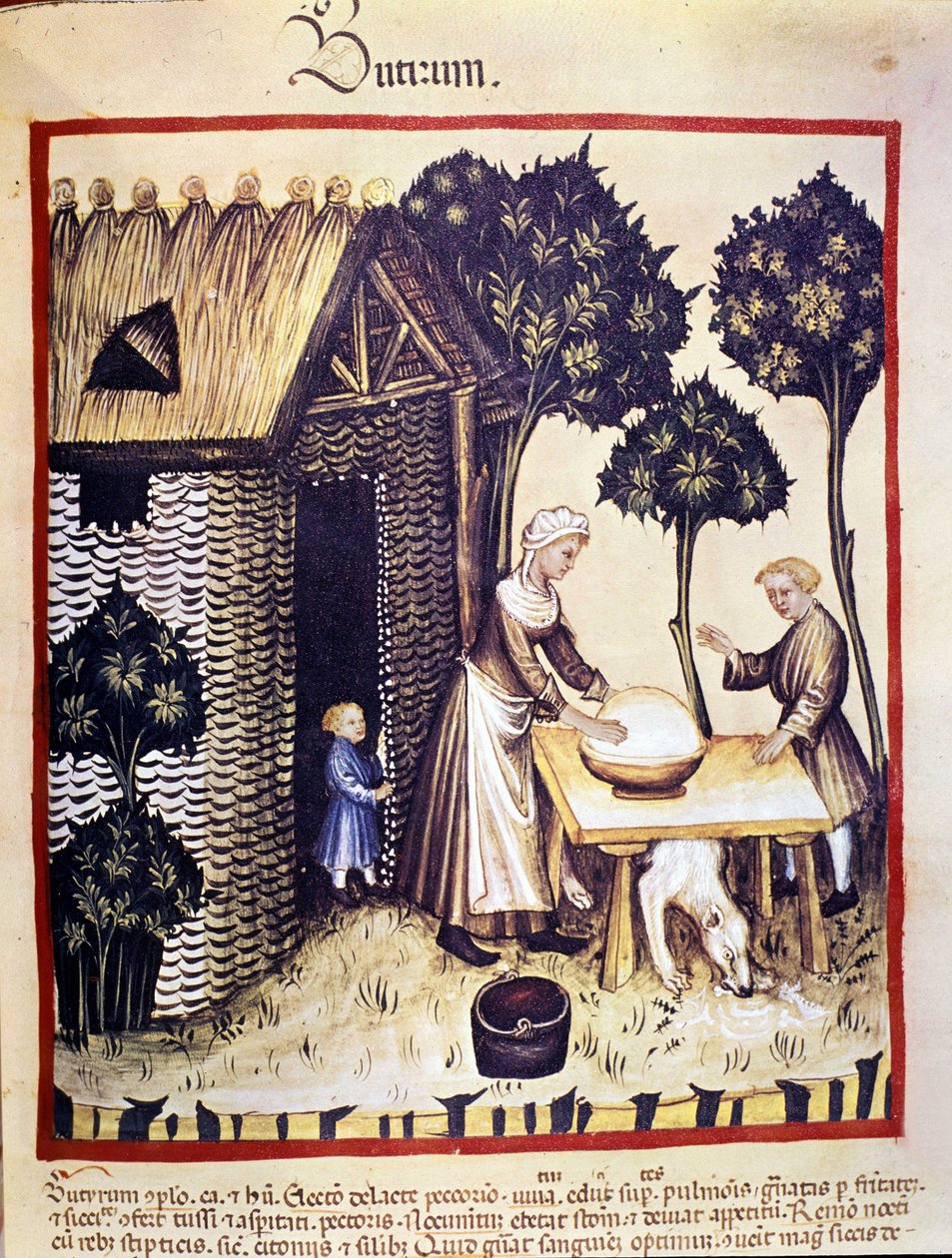 Produzione di burro. Miniatura dal "Tacuinum sanitatis" da Unknown artist