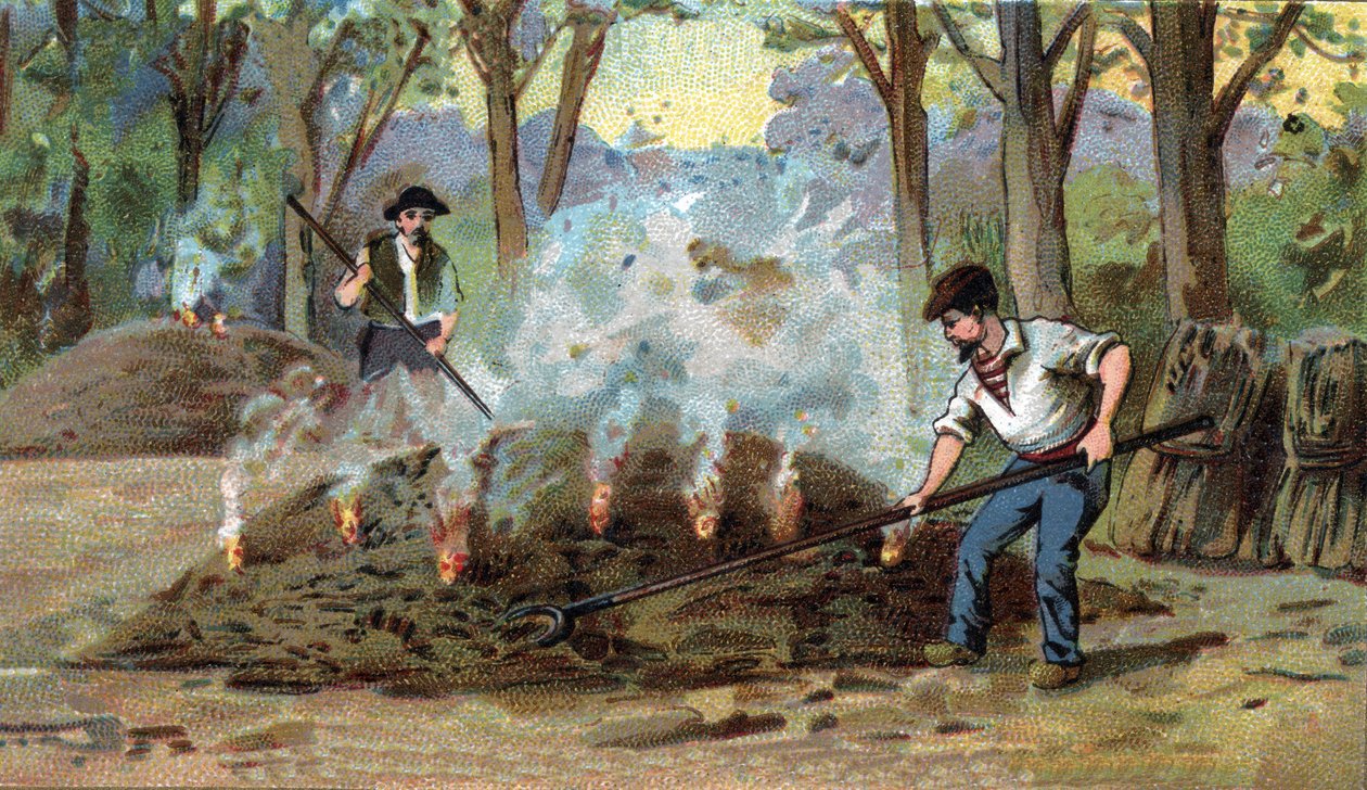 Fabbricazione del carbone, forno di combustione. Cromolitografia della fine del XIX secolo da Unknown artist