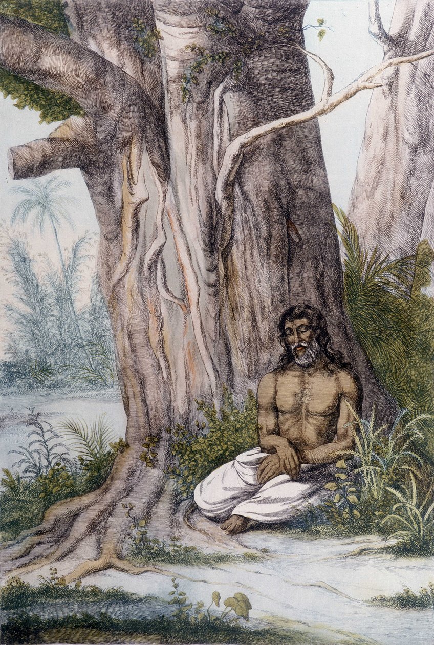 Meditazione ai piedi di un albero, India. da Unknown artist