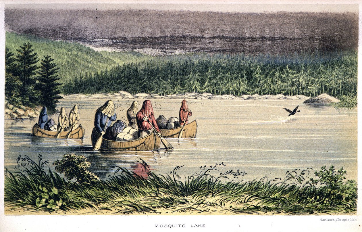 Lago Mosquito in Canada: indiani attraversano il lago in canoa con reti anti-zanzare sulla testa - in "Exploration of the Labrador Peninsula" di Hind, Londra da Unknown artist