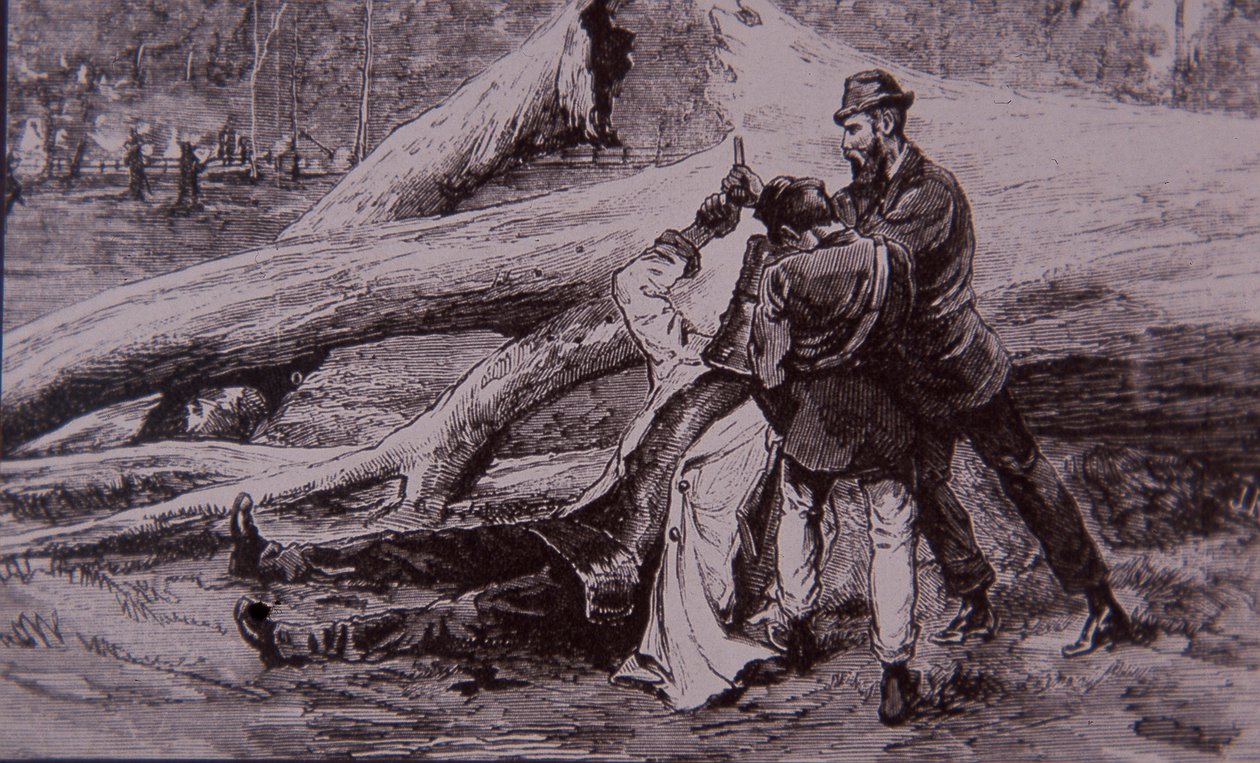 Ned Kelly catturato dal poliziotto Kelly e dal ferroviere Jesse Dowsett, 28 giugno 1880 da Unknown artist