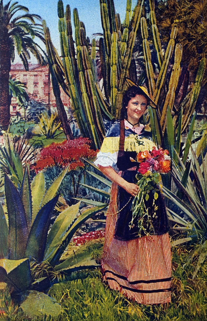 Nicoise. Cartolina postale del 1930 circa. Archivio comunale di Nizza. da Unknown Artist