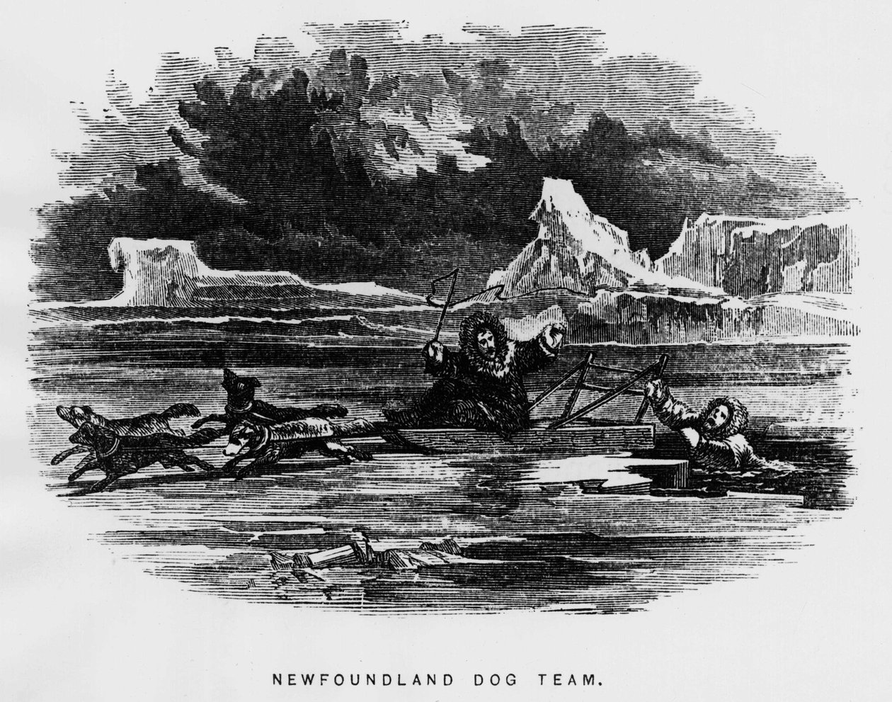 Polo nord: cane da slitta che sorvola un uomo che cade attraverso il ghiaccio - Elisha Kent Kane, Esplorazioni artiche negli anni 1853-1855, Philadelphia, Childs e Peterson da Unknown artist