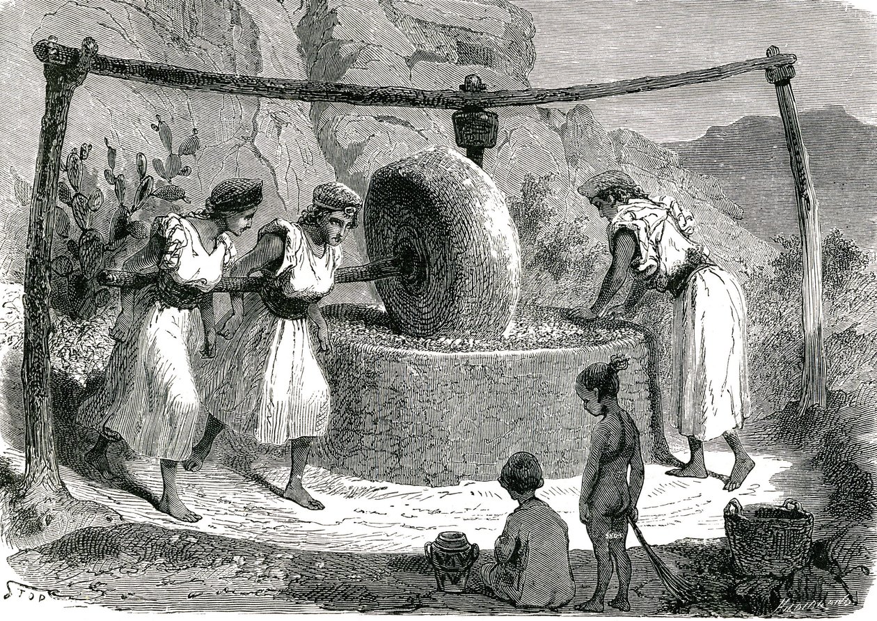 Mulino per macinare olive in Algeria 1885 da Unknown artist