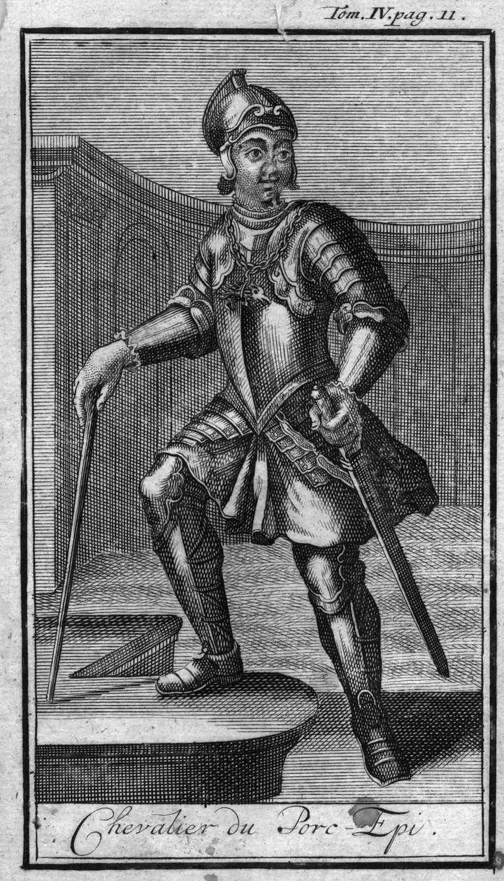 Ordini di cavalleria. Cavaliere dell