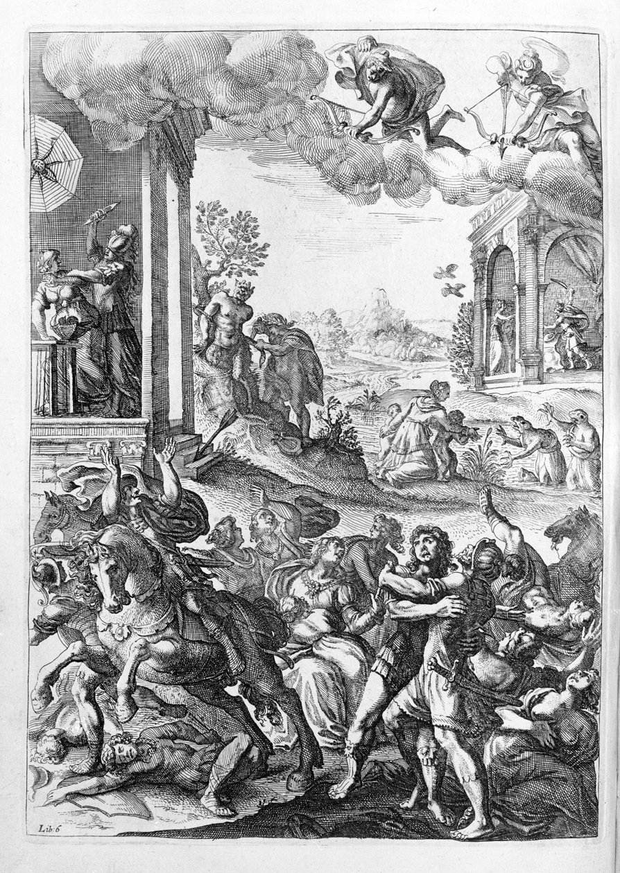 Ovidio - illustrazione per il libro 15 - (P. Ovidii Nasonis Metamorphose libri XV con note di TH. Farnabii.) note di Thomas Farnaby (Farnabia) (1575-1647) da Unknown artist