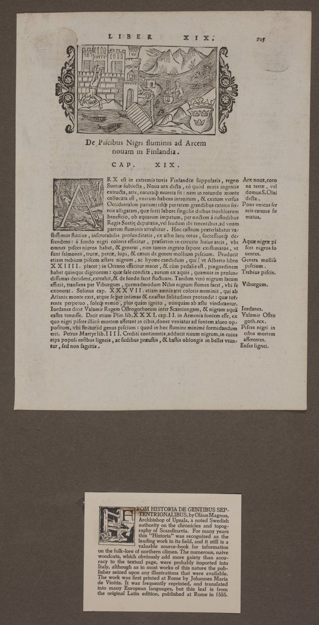 Pagina da 