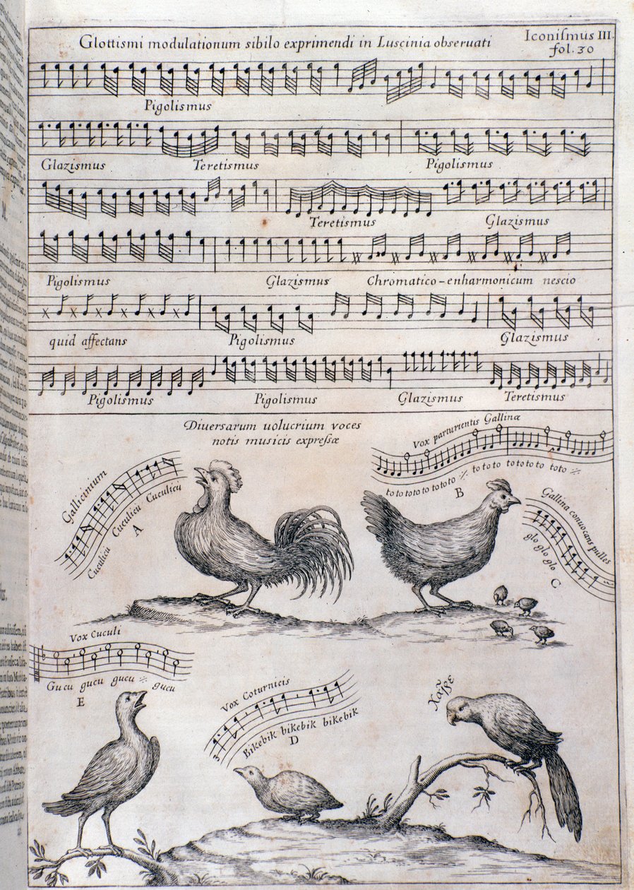 Pagina da Musurgia (1650) da Unknown artist