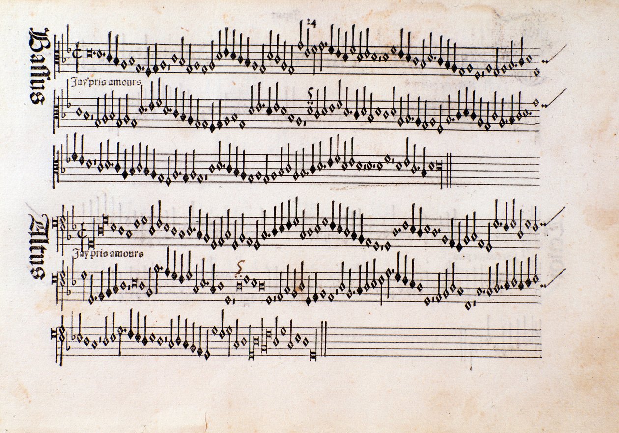 Pagina della partitura musicale di Harmonice Musices Odhecaton di Ottaviano Petrucci (1501) da Unknown artist