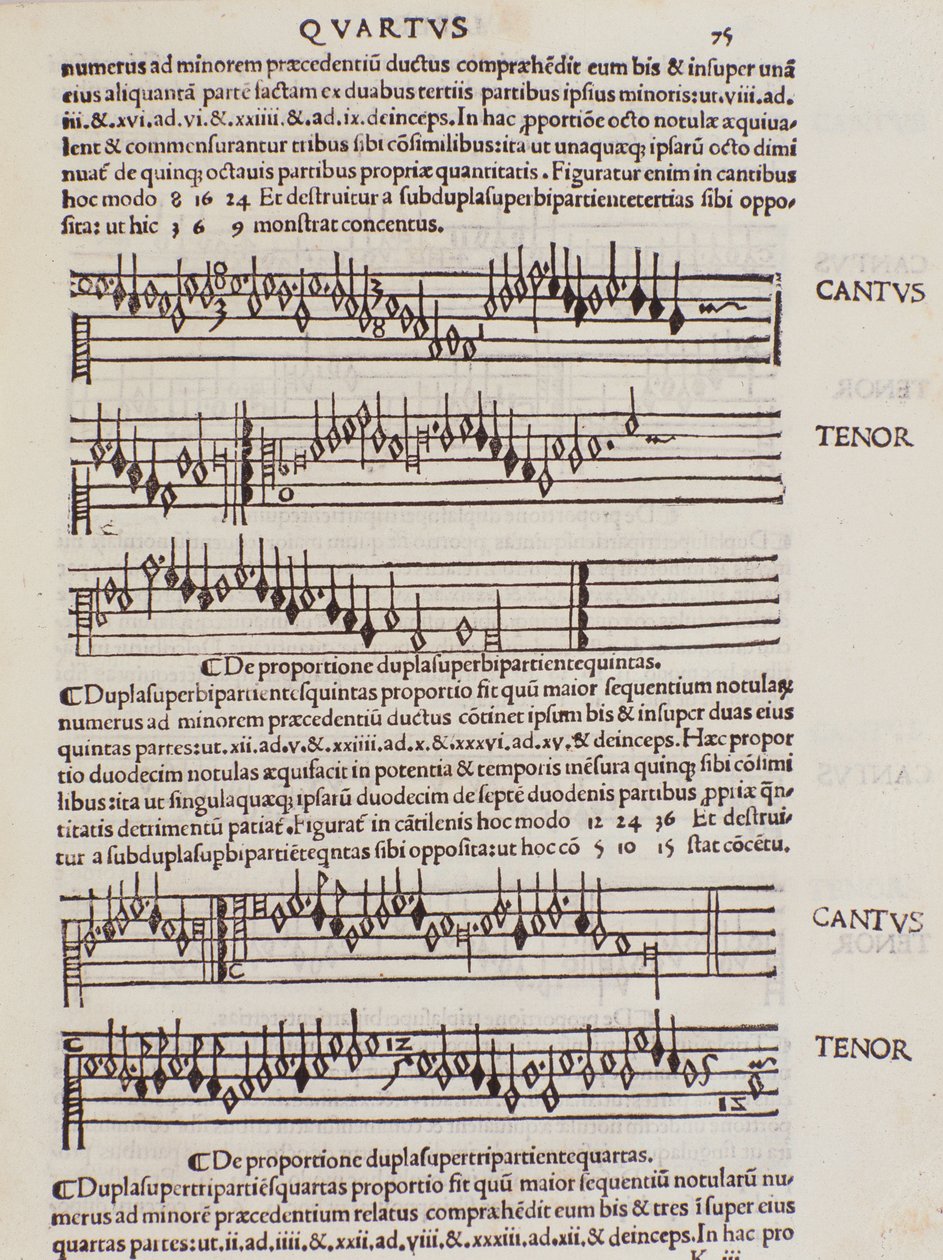 Pagina tratta da Practica Musicae di Franchino Gaffurio da Unknown artist