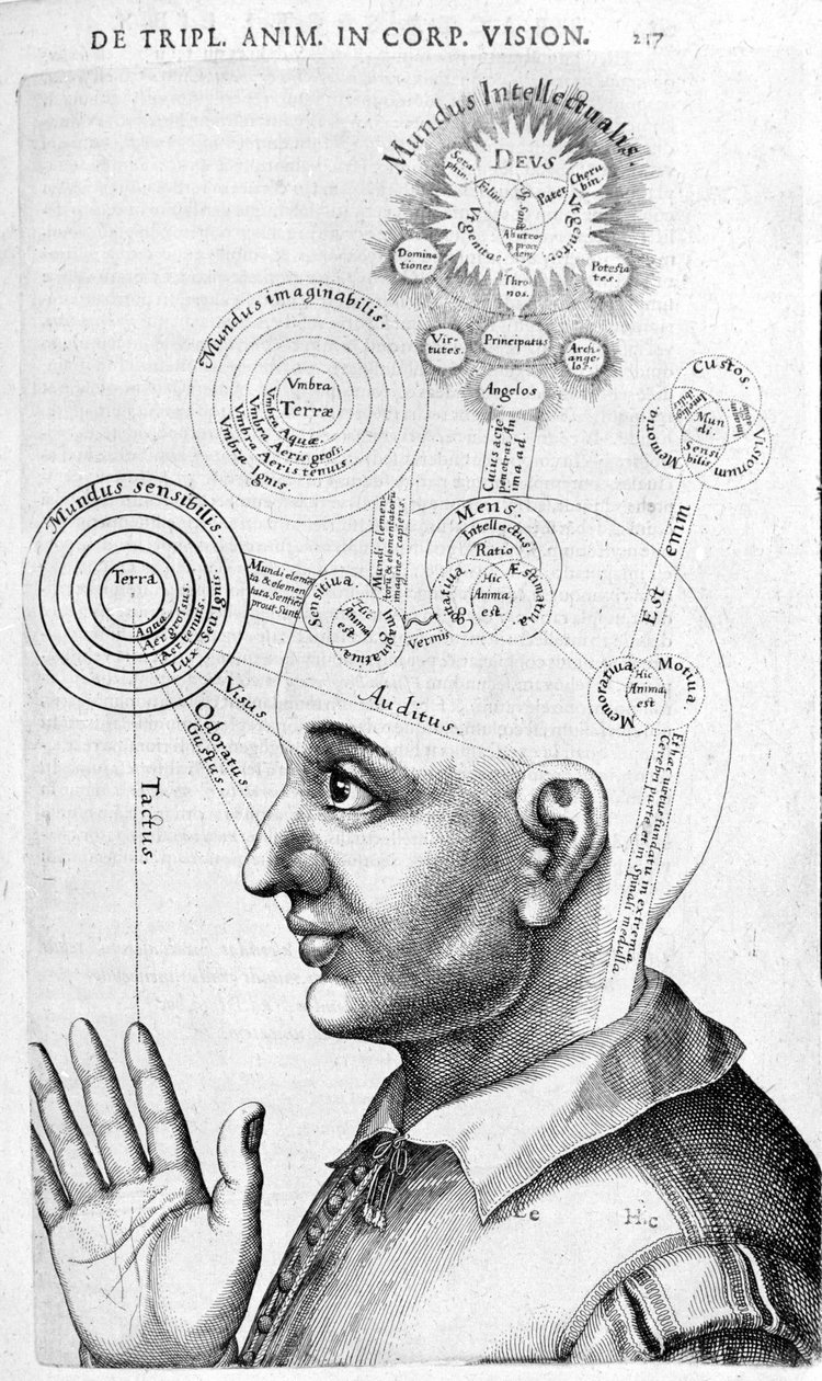 Immagine di fisiognomica (frenologia) da Collectio Operum di Robert Fludd (Robertus de Fluctibus). Londra 1617 da Unknown artist